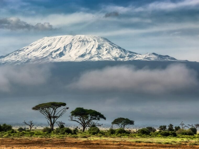 Kilimanjaro seen from the north above green trees