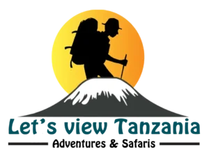 Let's View Tanzania